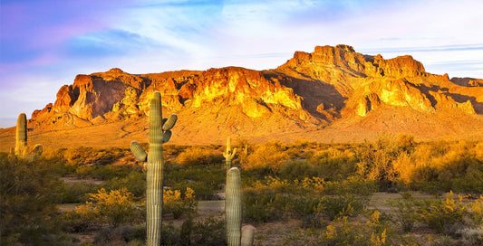 Shadow of the Cougar on the Mountain