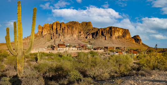 Goldfield Cactus Left