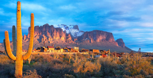 Goldfield Snow on the Mountain